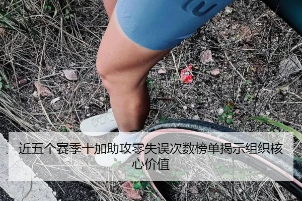 近五个赛季十加助攻零失误次数榜单揭示组织核心价值